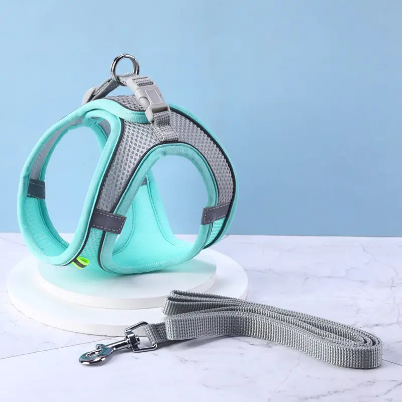 Cat Harness with Pulling Rope Leash