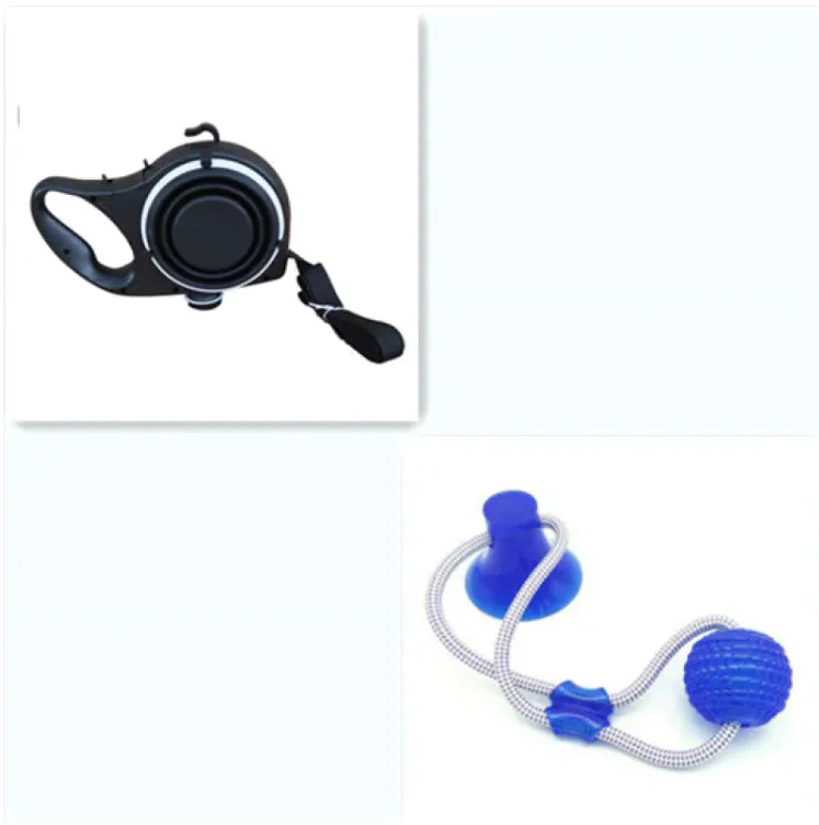 3 In 1- Water carrier, Bowl, and Leash