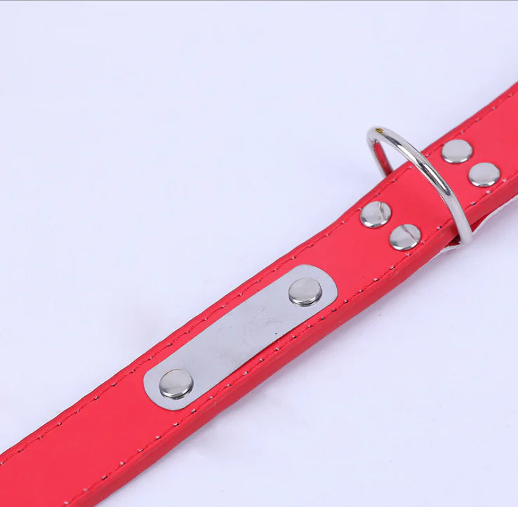 Small Dog Collar
