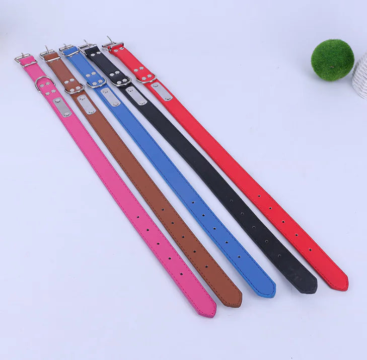 Small Dog Collar