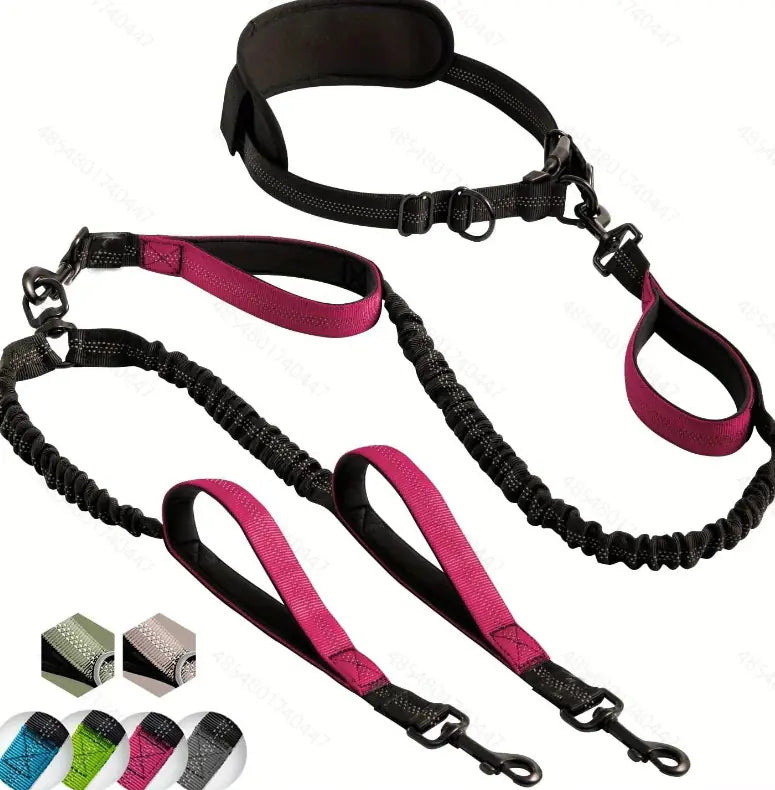 2-Dog Hands-Free Leash