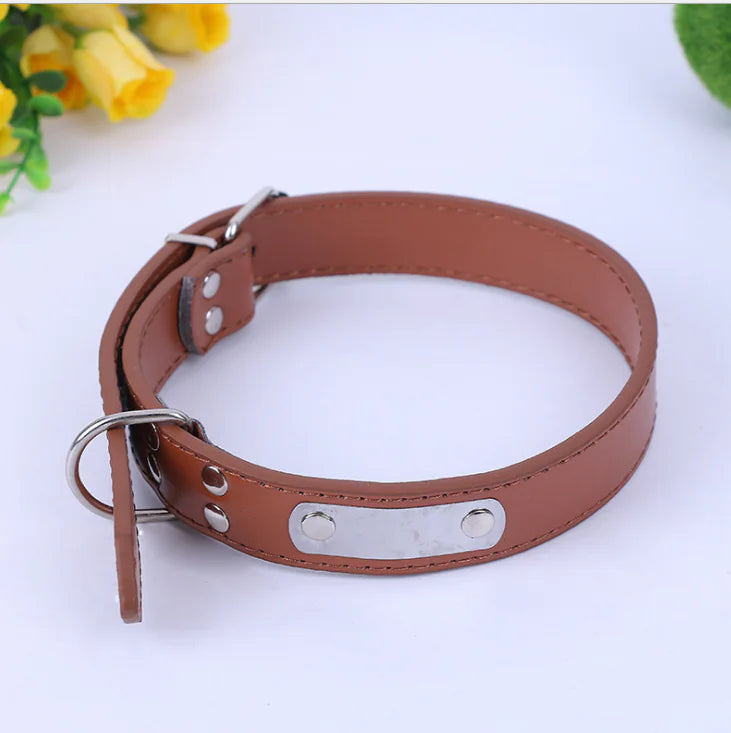 Small Dog Collar