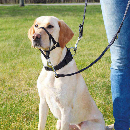 Dog Gentle Leader Training harness