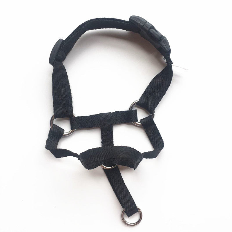 Dog Gentle Leader Training harness