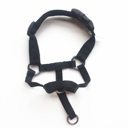 Dog Gentle Leader Training harness