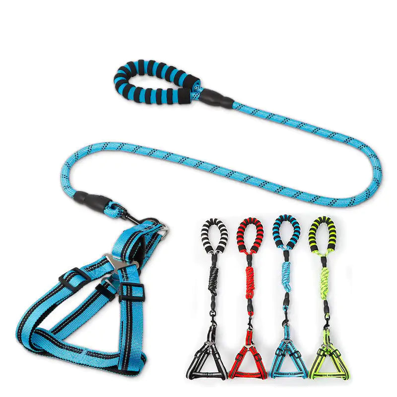 Dog Leash and Chest Harness