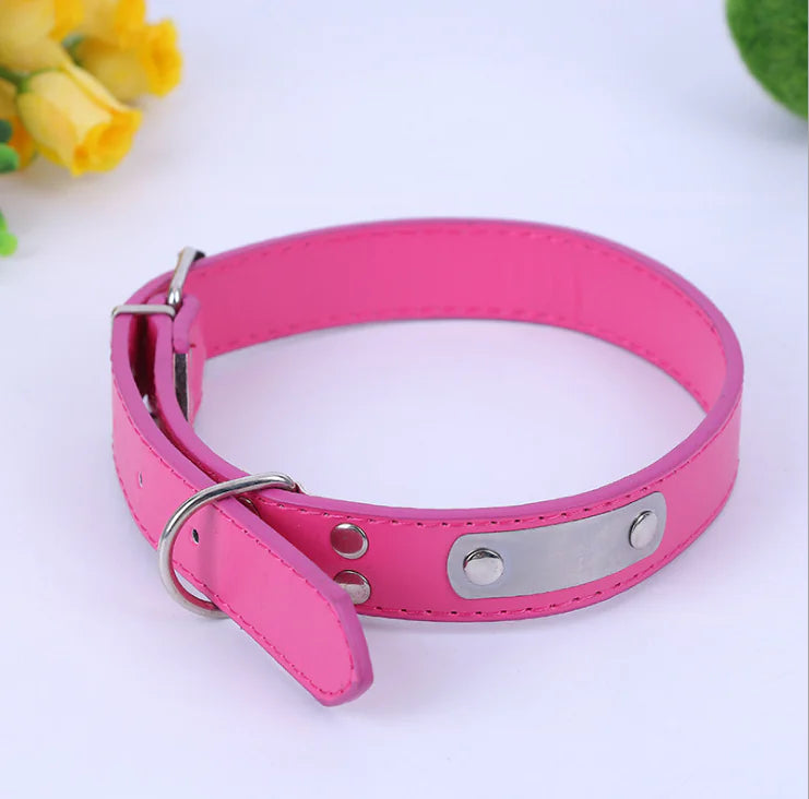 Small Dog Collar