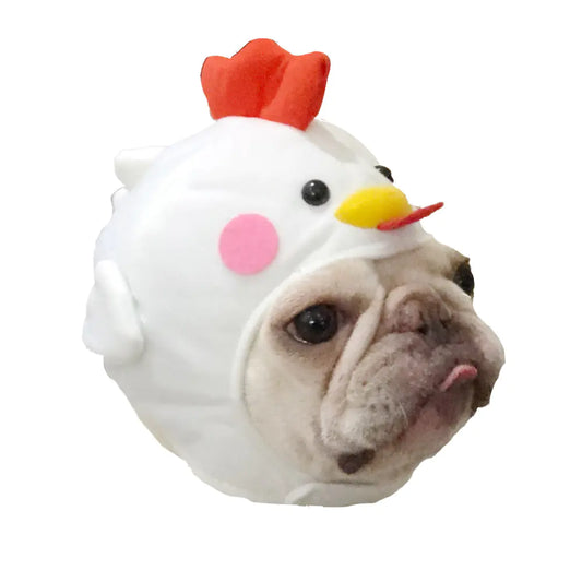 Cute Dog Hat for Styling Videos