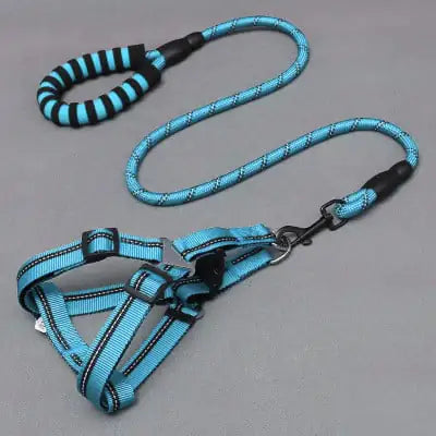Dog Leash and Chest Harness