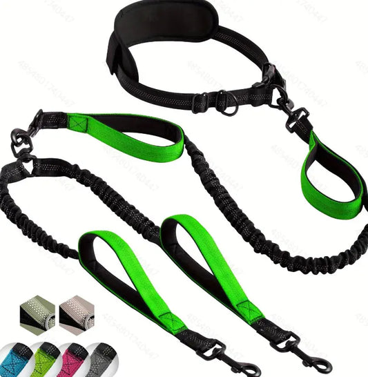2-Dog Hands-Free Leash