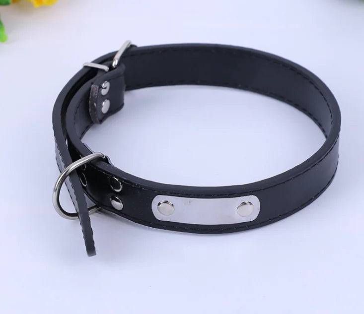Small Dog Collar