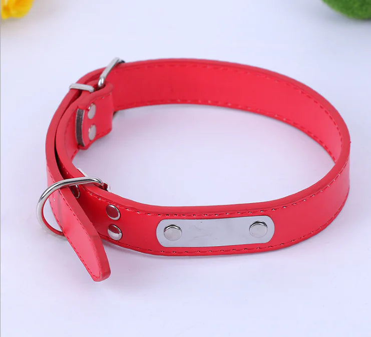 Small Dog Collar
