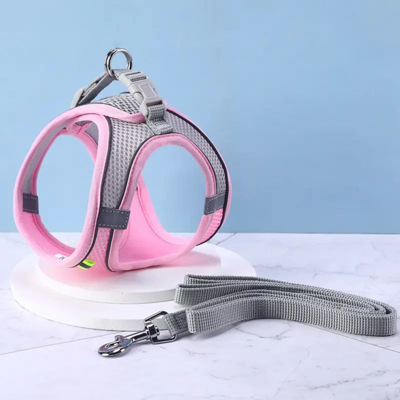 Cat Harness with Pulling Rope Leash