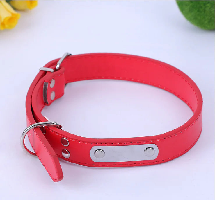 Small Dog Collar