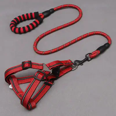 Dog Leash and Chest Harness