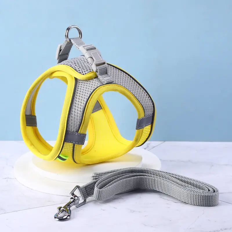 Cat Harness with Pulling Rope Leash