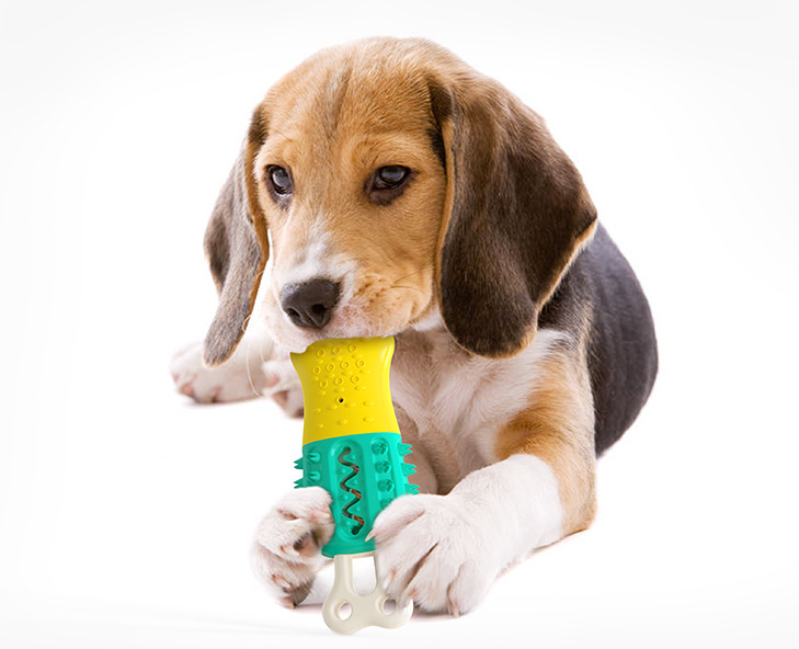 Cooling Cleaning Pet Chewing Supplies