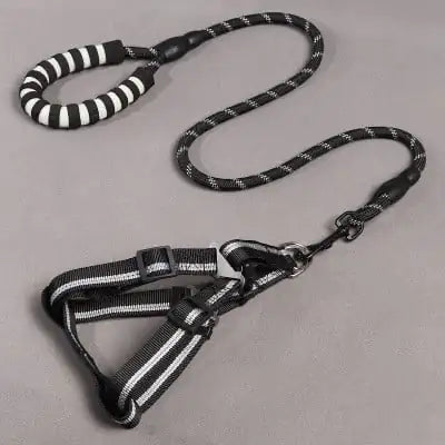 Dog Leash and Chest Harness