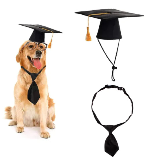 Dog Doctor Hat and Tie