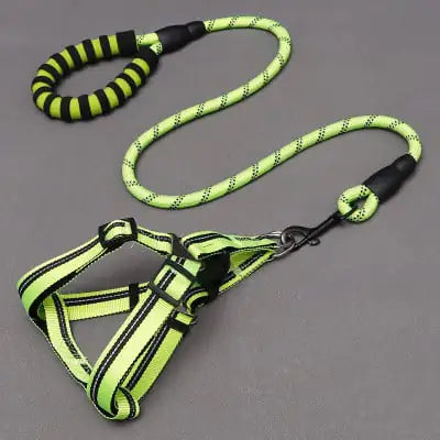 Dog Leash and Chest Harness