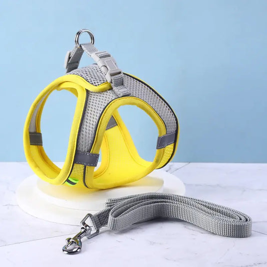 Cat Harness with Pulling Rope Leash