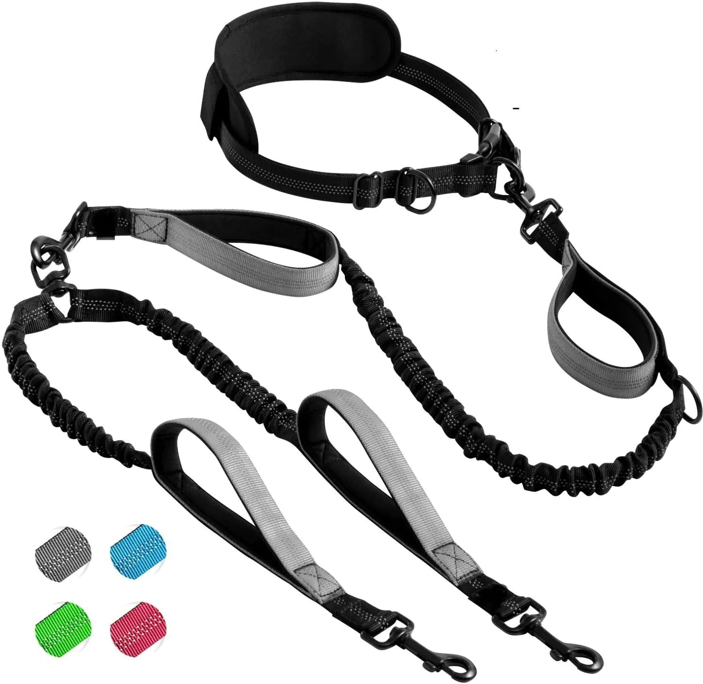 2-Dog Hands-Free Leash