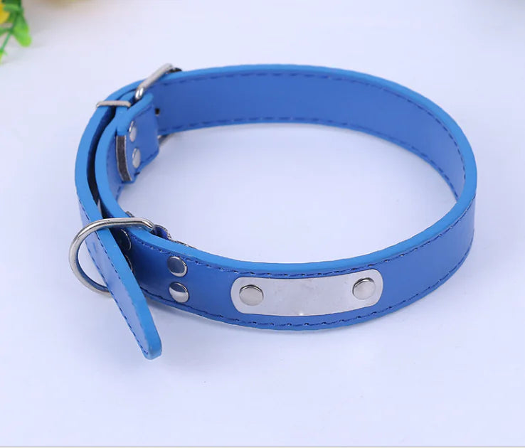 Small Dog Collar